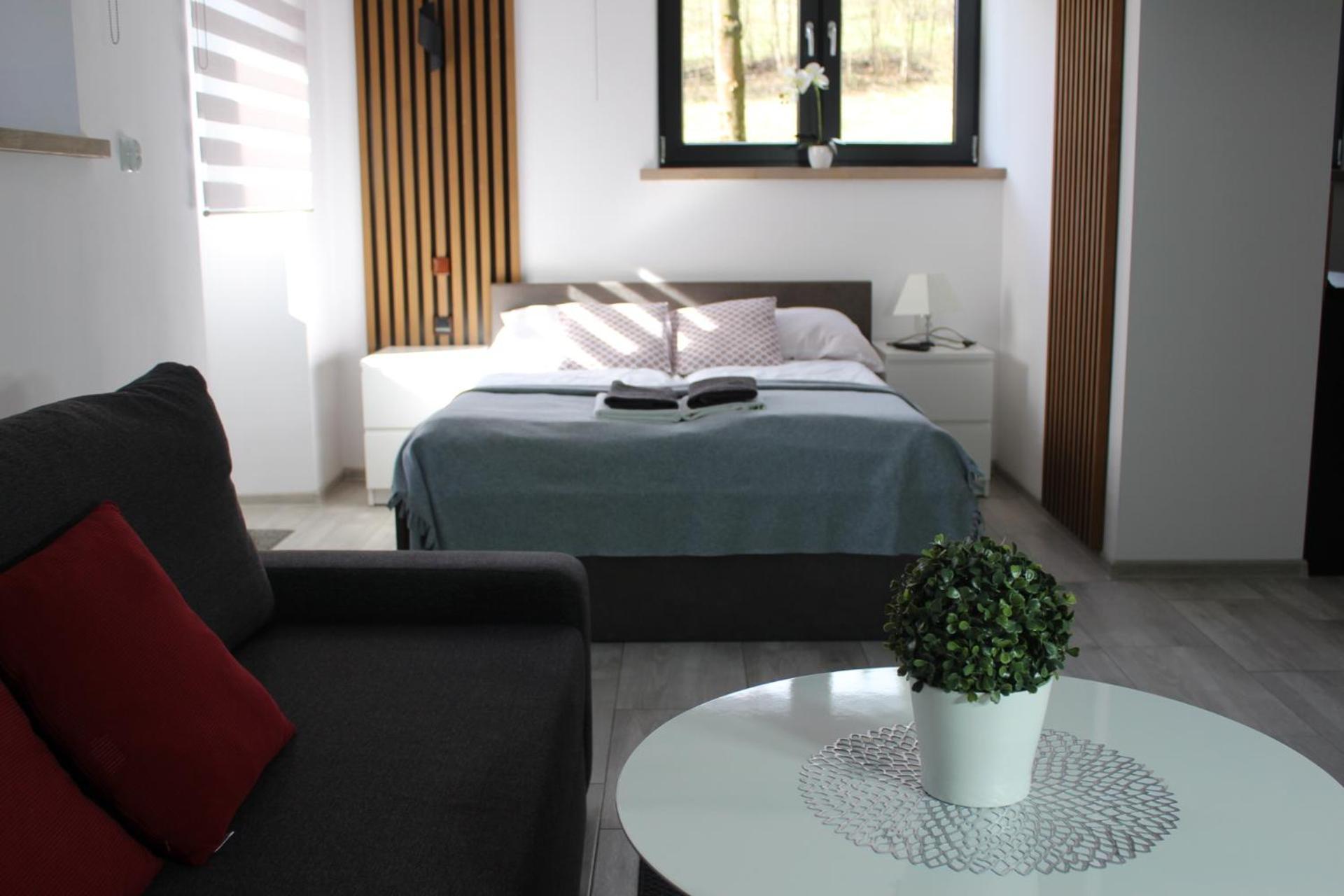 Apartamenty Swistak Maciej Dunajczan Bukowina Tatrzanska Exterior photo